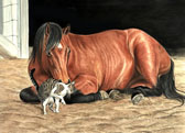 Equine Art - Nose Rub